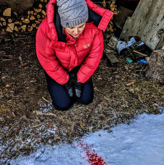 IMG_20181229_133027 (1).jpg